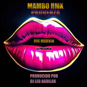 PROVENZA (feat. DJ LEO AGUILAR) (MAMBO RMX)