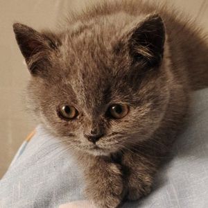 为什么一定要喜欢人