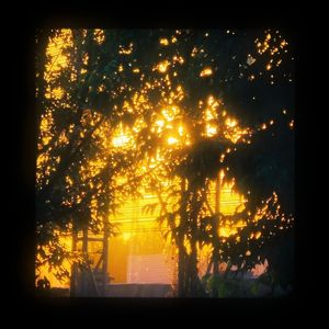 触碰不到的你（男生版）