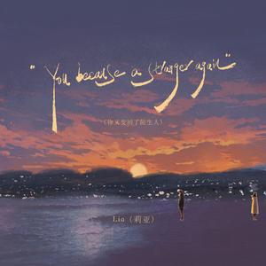 You became a stranger again（你又变回了陌生人）