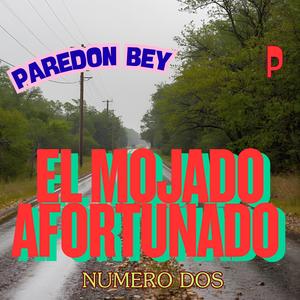 EL MOJADO AFORTUNADO 2