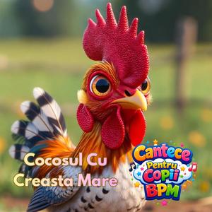 Cocosul Cu Creasta Mare