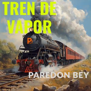 El Tren De Vapor