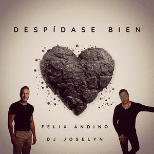 Despídase Bien (Versión Bachata)