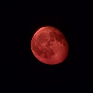 New Moon