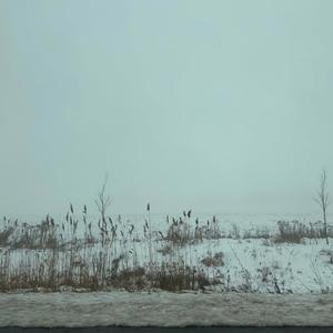 i cant get this dam stain off th