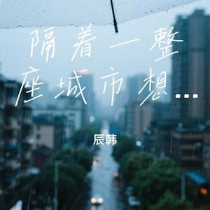 隔着一整座城市想你