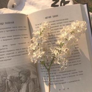 银河与星斗（piano version）