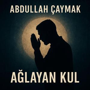 Ağlayan kul