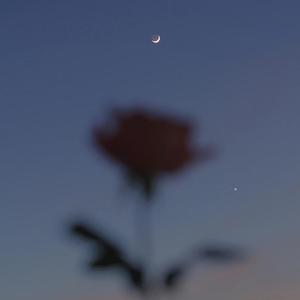 一首你不会听的歌