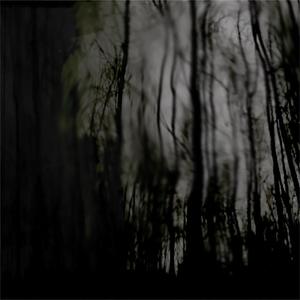 （FREE）“迷雾森林” Drak +808 Mafia Type Beat