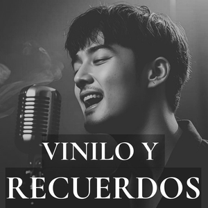 Vinilo Y Recuerdos