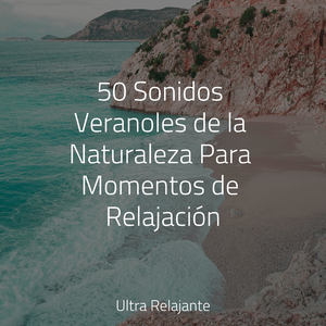 Secuencia De Sueño