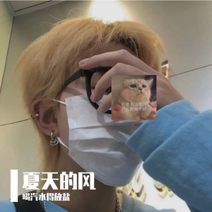 夏天的风(吉他版)