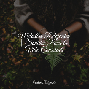 Desintoxicar el Cuerpo