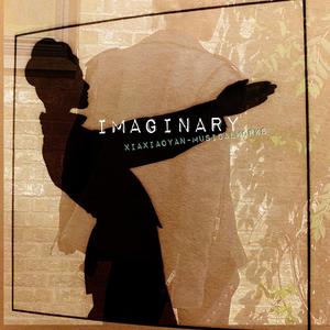 Imaginary