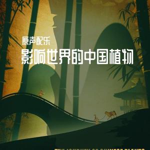 The adventures of Mr.ChengCai