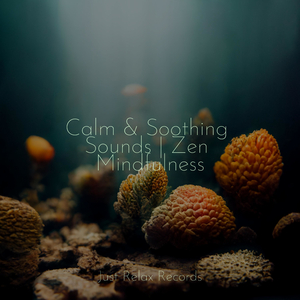 Floating Stillness in Peace