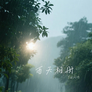 雨天相册