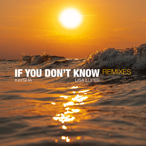 If You Don't Know (Snake Dizzy Remix)