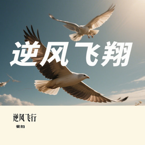 逆风飞行