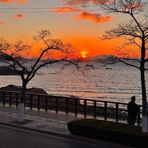 会有人把我替代