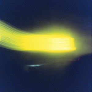 you're not daydreaming