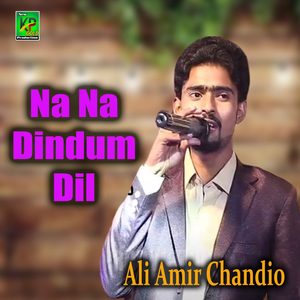 Na Na Dindum Dil