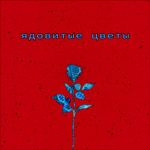 ядовитые цветы