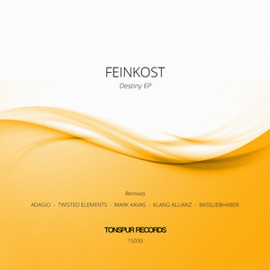 Destiny (Twisted Elements Remix)