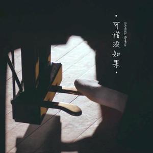 林俊杰-可惜没如果（SAMUEL remix）