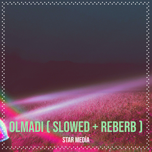 Olmadı ( Slowed + Reberb )