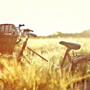 everytime feat 虫（Cover chen / punch）