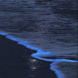 最美好的时光片段（原唱陈娴静）