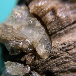 Journey to Cat Island