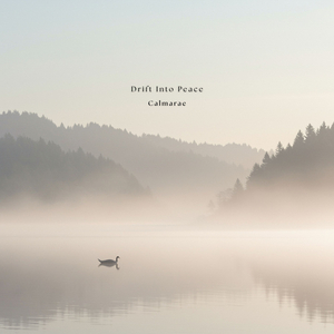 Inner Horizon