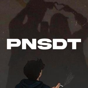 PNSDT