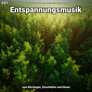 Entspannungsmusik pt. 5