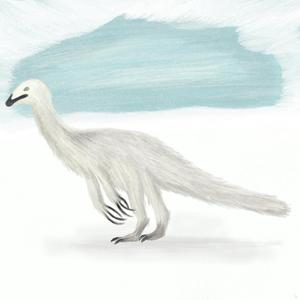 Echoes Of The Avians