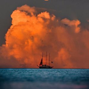 岁月悠然，清欢人间