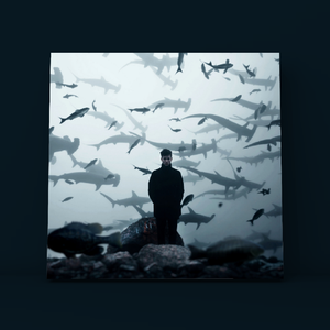 炸中反转 X Trap X 孟菲斯 X Beats