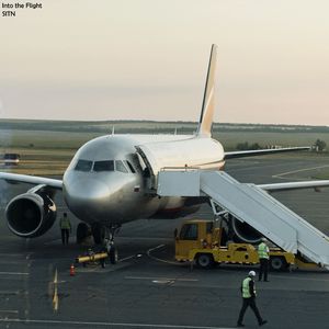Into the Flight