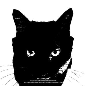 我有一只步履轻盈的猫