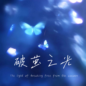 破茧之光.wav