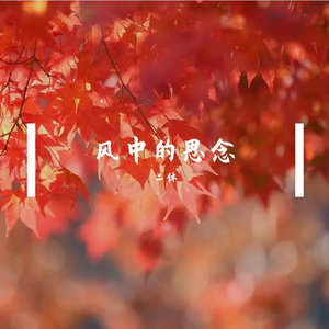 被风吹散的思念