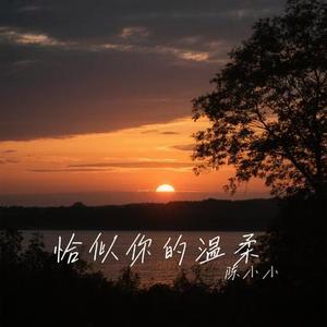 恰似你的温柔 (Cover 徐暖暖)