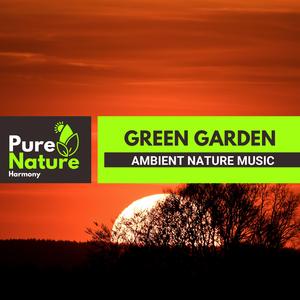 Humming of the Yellowbreasted Chat