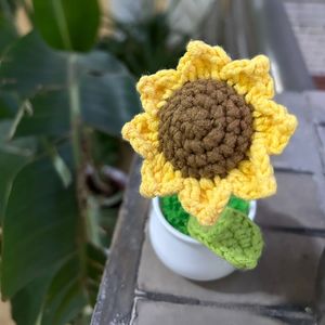 不被期待的小孩