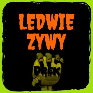 Ledwie żywy