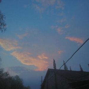 白月初，你到底行不行（翻自 万妖王）